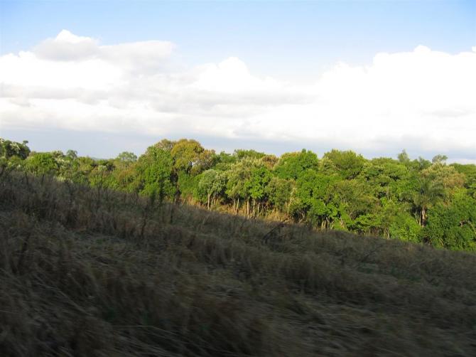 Grün, grün, grün ist alles was ich habe....