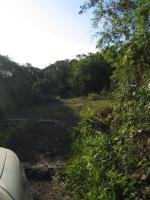 Paragliding Fluggebiet Südamerika » Brasilien,Sao Vendelino (RS),Das ist ein Teil des Anfahrtsweges, schon fast ganz oben!!