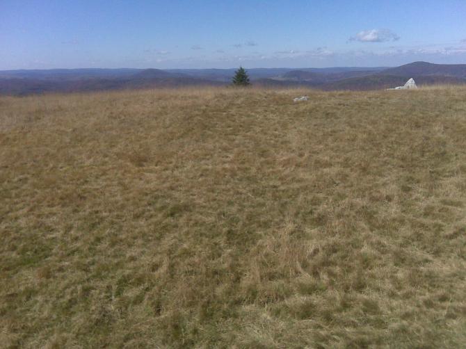 Der Startplatz selbst.