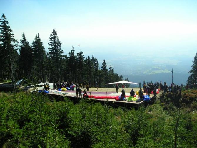 von hinten mit blick in die waldschneise