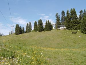 Das ist der Startplatz