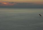 Paragliding Fluggebiet Europa » Spanien » Kanarische Inseln,la Palma - Kante bei Puerto Naos,ohne Worte