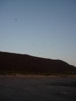 Paragliding Fluggebiet Nordamerika » Mexico,Estadio,