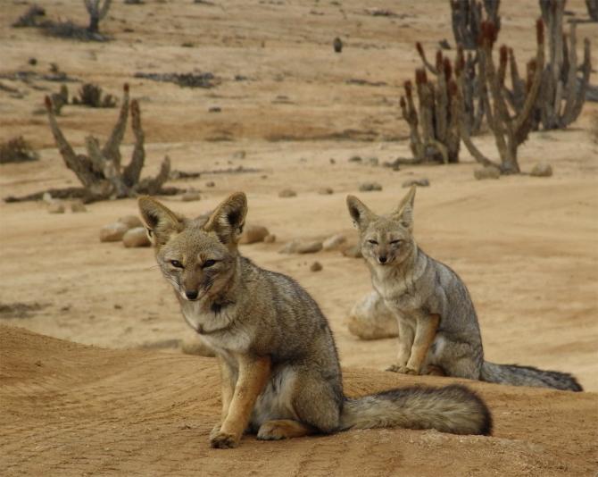 company at take off ;-)