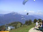 Paragliding Fluggebiet Europa » Österreich » Salzburg,Zwölferhorn, 12er-Horn,Pauli setzt zum Toplanden an