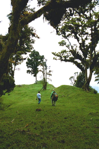 Aufstieg bei Aserrí (20 min).