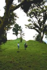 Paragliding Fluggebiet Nordamerika » Costa Rica » Valle Central,Cerro Pacacua,Aufstieg bei Aserrí (20 min).
