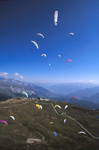 mit freundlicher Genehmigung ©www.azoom.ch