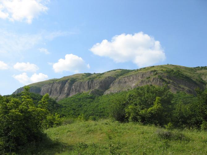 Von einer der Lande-Lichtungen nach oben, ein Teil der Felswand.
