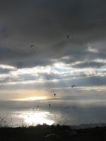 Paragliding Fluggebiet Europa » Spanien » Kanarische Inseln,Teneriffa Taucho,Spanische Liga