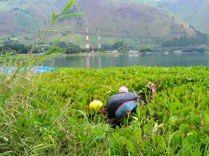 ...und manche sind auch etwas darüber hinausgeschossen....

Januar 2008