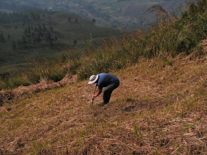 Auch ein Startplatz muss ab und zu geputzt werden. Danke Erik!

Januar 2008