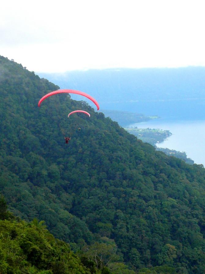 Fliegen über Regenwald