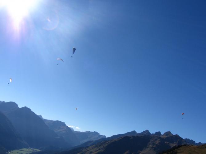 Alle wollen nach oben!!