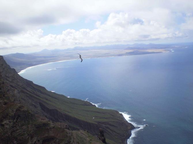 ..die Möwe konnte es nicht lassen und musste sich unbedingt ins Bild schieben- Möwe würde ich gern sein-oder doch lieber ein Adler? ..