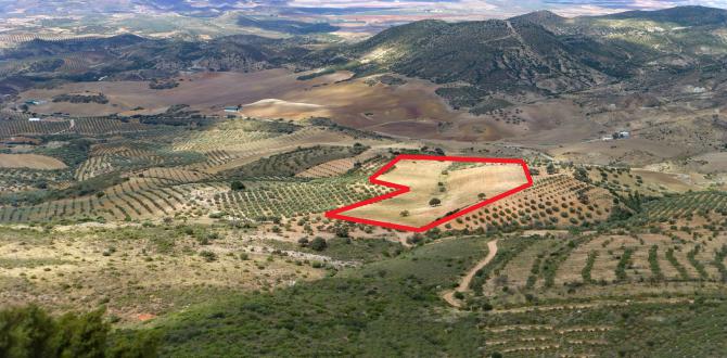 unlandbar, da 2015 neu bepflanzt.