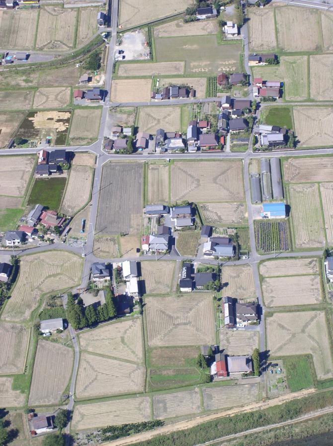 über den abgeernteten Reisfeldern