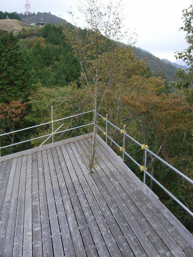 ...doch selbstverständlich (?) wird auf die Natur Rücksicht genommen.