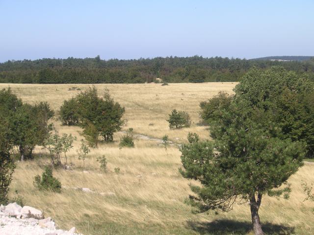 Toplandewiese am Startplatz...aufgenommen am 9.9.2006. Leider alles andere als Flugwetter an diesem Tag, wegen Bora...starker Wind aus dem Hinterland.