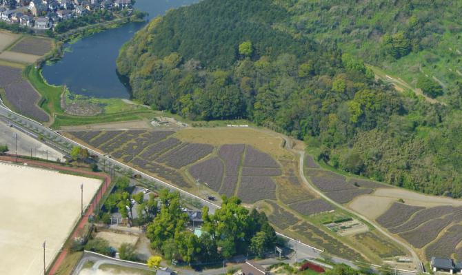 LP
P (von den Bäumen in der Bildmitte verdeckt)
