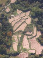 Paragliding Fluggebiet Asien » Japan,Sky Shishiku,Reisfelder