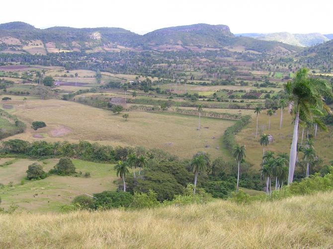 Warten auf das Startfenster