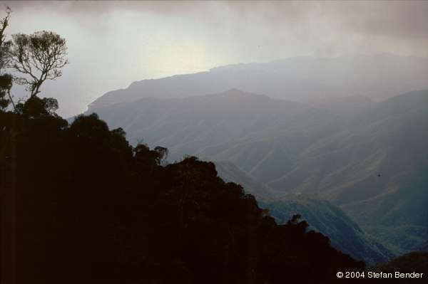 Courtesy of Stefan Bender