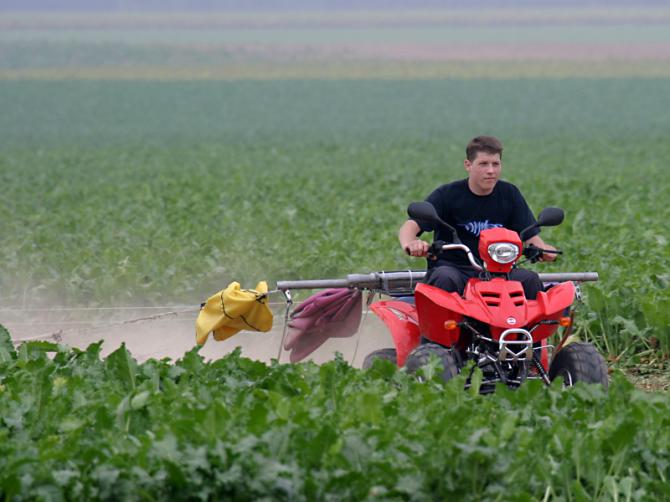 Unser Jünster gibt Alles, Vor dem Schlepp ist nach dem Schlepp.
