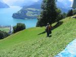 Paragliding Fluggebiet Europa » Schweiz » Schwyz,Urmiberg,Urmiberg Startplatz