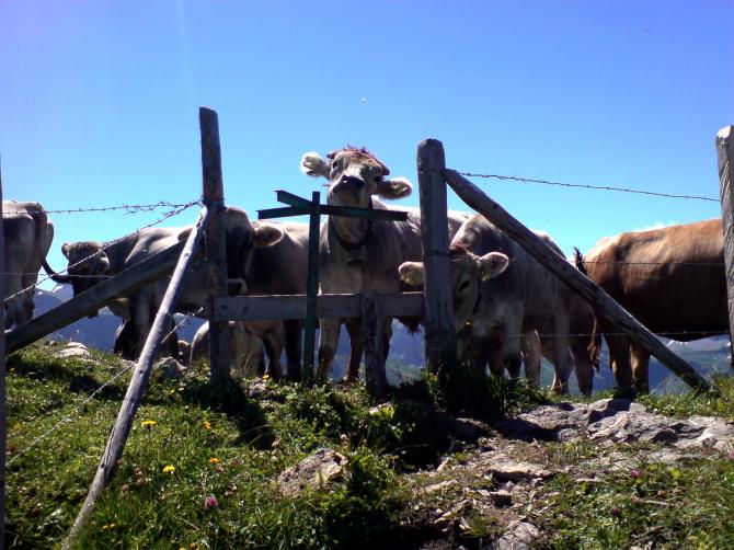 Das Bodenpersonal wartet schon auf die Piloten... (19.07.2008)