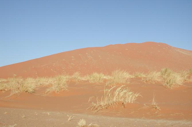 Dune Daja in ihrer ganzen Schönheit