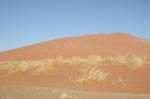 Paragliding Fluggebiet Afrika » Namibia,Dune Daja,Dune Daja in ihrer ganzen Schönheit