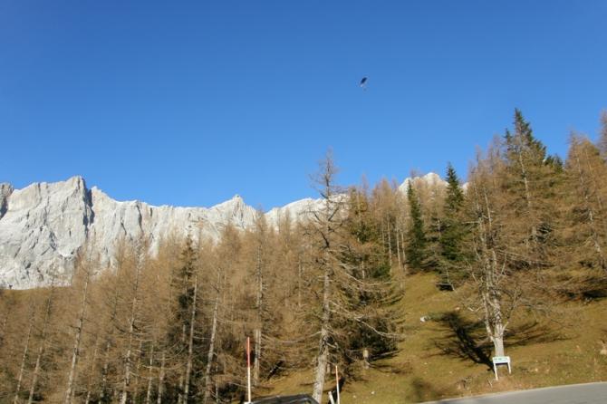 Im Herbst sind traumhafte Flüge an der felsigen Südflanke möglich

www.flymozart.at