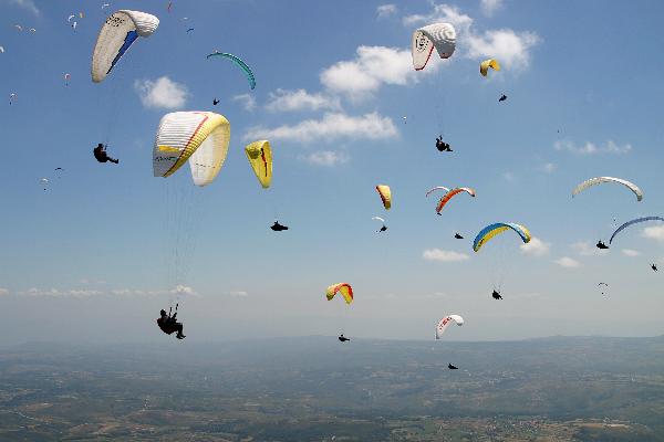 WM 2003

mit freundlicher Genehmigung ©www.azoom.ch