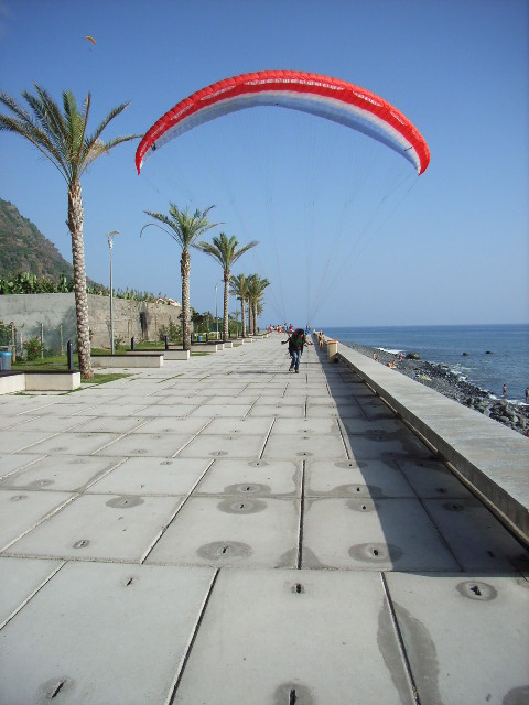 Sauber und gefplegt an die Bar schweben, paradiesisch wenn man die Spannweite des Schirms im Griff hat, ansonsten gibt es eine nette Palmdeko, Madeira, wo sonst?!