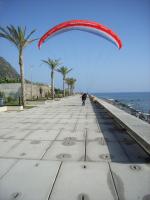 Paragliding Fluggebiet Europa » Portugal » Madeira,Arco da Calheta,Sauber und gefplegt an die Bar schweben, paradiesisch wenn man die Spannweite des Schirms im Griff hat, ansonsten gibt es eine nette Palmdeko, Madeira, wo sonst?!