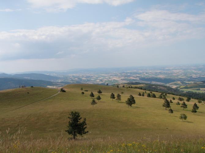 Genug Platz zum Toplanden