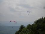 Paragliding Fluggebiet Europa » Italien » Marken,Monte Carpegna,