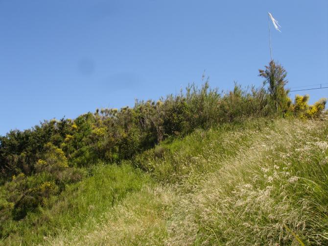 Startplatz (steil und mit hohem Gras)