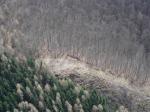 Paragliding Fluggebiet Europa » Deutschland » Hessen,Auer Blick/Fliegen um Eschwege/Wanfried,Startschneise.Diese hat sich seit dem 3.3.07 deutlich verbessert.Der etwas störende Baum,auf dem Photo oberhalb der Person,durfte gefällt werden.Man kann jetzt ganz hinten auslegen und gewinnt an Startstrecke und einigen Metern Höhe.Außerdem verbreitert sich die Startrichtung etwas in Richtung NO,ich schätze so um die 10 Grad