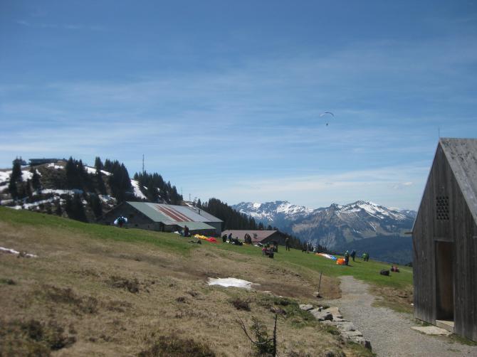 Niedere, 16. Mai 2017