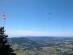 Paragliding Fluggebiet Europa » Österreich » Vorarlberg,Niedere,Schulungsstartplatz Richtung Westen mit Blick auf Bodensee