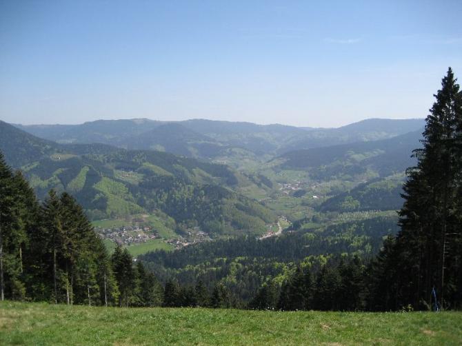 Startplatz: Oppenau Ost (Schäfersfeld)
Startschneise