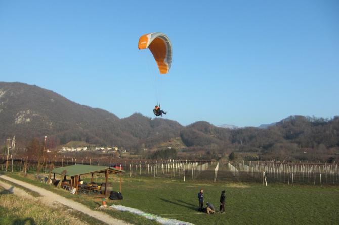 LP zwischen den Weingärten, 23. Jänner 2010