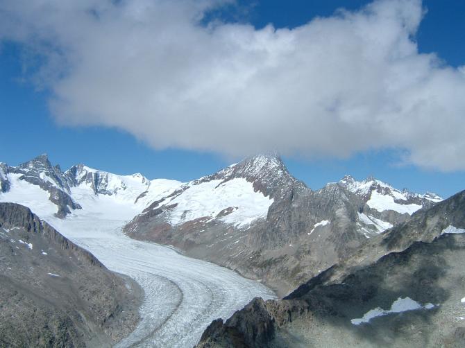 Fieschergletscher.