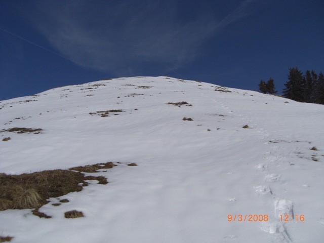Der Südhang am Gipfel. Jede Menge Platz von NW bis SO.