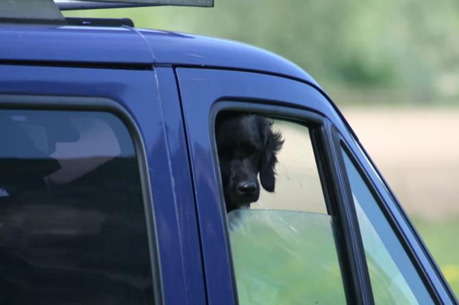 Ich will auch Fliegen. ;-)