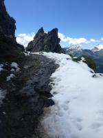 Paragliding Fluggebiet Europa » Österreich » Vorarlberg,Hochjoch,Weg zur Wormserhütte vom Sennigrat-Lift aus kommend.

Ja: Das Foto stammt tatsächlich von gestern, 17. Juli.