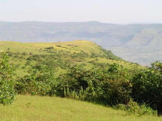 Tower Hill Startplatz, während des Anmarsches gesehen. Herbst 2005, kurz nach Ende de Monsuns