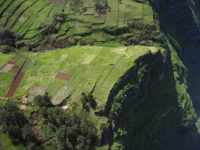 und noch eine herrliche Wiese die jedes Fliegerherz höher schlägen läßt, Madeira hat ganauso viel grün zu bieten wie die Azoren, nur viel spektakulärer